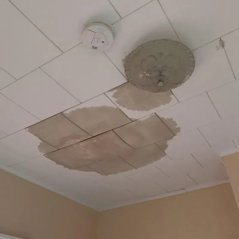 Ceiling Water Damage Repair in Bridgeport, NY